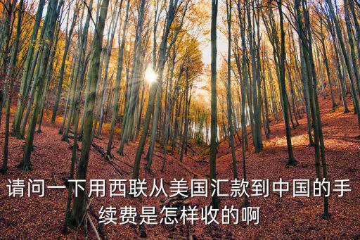 西聯(lián)怎么收手續(xù)費(fèi)，請教下西聯(lián)匯款如何收費(fèi)的