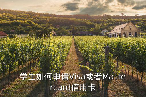 學(xué)生如何申請Visa或者Mastercard信用卡