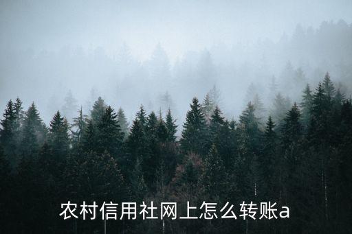 農(nóng)村信用社網(wǎng)上怎么轉(zhuǎn)賬a