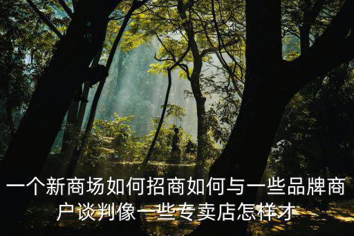 一個(gè)新商場(chǎng)如何招商如何與一些品牌商戶談判像一些專(zhuān)賣(mài)店怎樣才