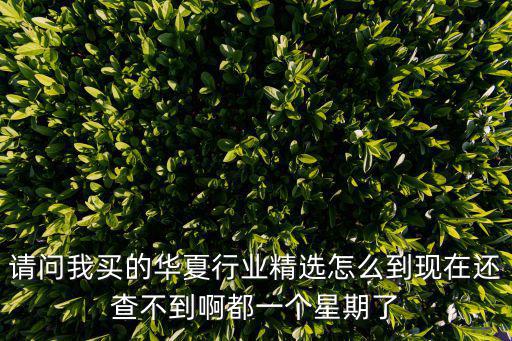 請(qǐng)問(wèn)我買(mǎi)的華夏行業(yè)精選怎么到現(xiàn)在還查不到啊都一個(gè)星期了