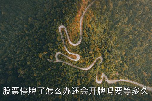 買的股票停牌了怎么辦，股票停牌了怎么辦是好還是壞