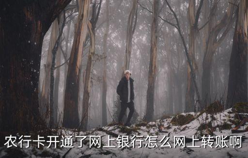 農(nóng)業(yè)銀行網(wǎng)上銀行怎么轉(zhuǎn)賬，農(nóng)業(yè)銀行網(wǎng)上銀行轉(zhuǎn)賬詳細(xì)流程