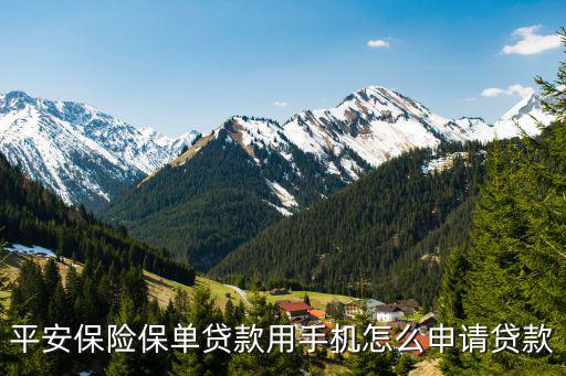 平安保險借款怎么申請，平安保險怎么有貸款的