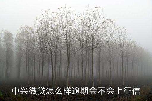 中興微貸怎么樣逾期會不會上征信