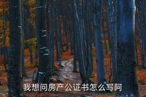 房屋貸款公證怎么寫，房產(chǎn)公證書怎么寫