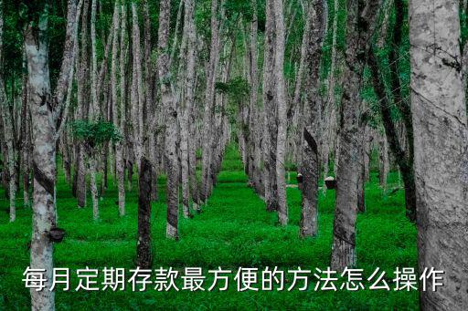 每月定期存款最方便的方法怎么操作