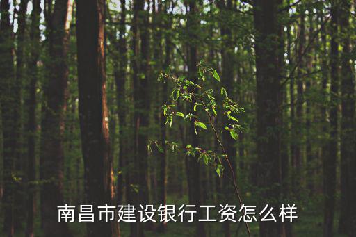 南昌市建設(shè)銀行工資怎么樣