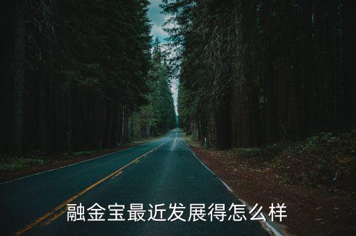 有誰(shuí)知道融金寶網(wǎng)貸怎么回事呢，融金寶怎么樣靠不靠譜誰(shuí)知道