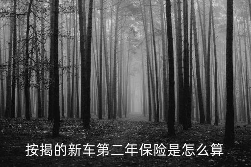 按揭的新車第二年保險(xiǎn)是怎么算