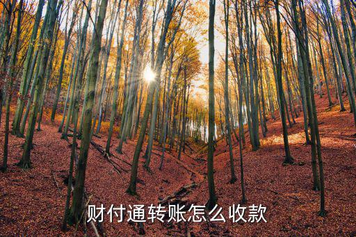 財(cái)付通轉(zhuǎn)賬怎么收款
