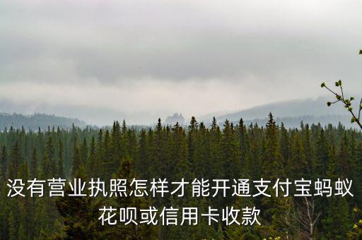 沒有營(yíng)業(yè)執(zhí)照怎樣才能開通支付寶螞蟻花唄或信用卡收款