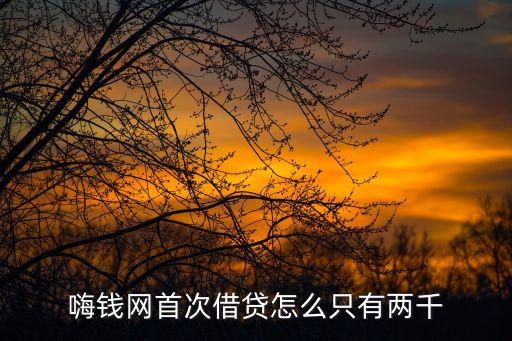 嗨錢網(wǎng)首次借貸怎么只有兩千