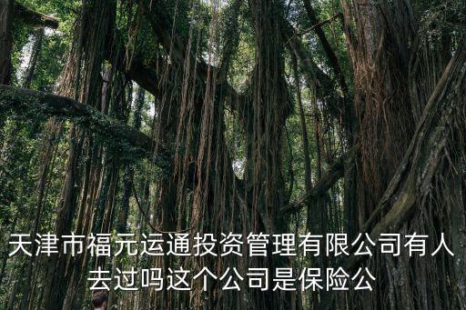 天津市福元運(yùn)通投資管理有限公司有人去過嗎這個(gè)公司是保險(xiǎn)公