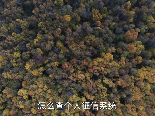怎么查個人征信系統(tǒng)