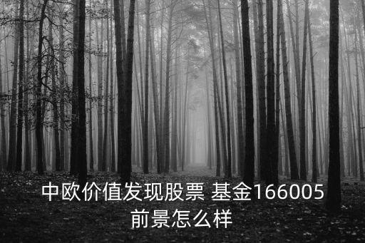 中歐基金 怎么樣，東方紅股票基金哪個好