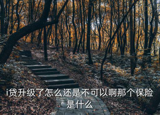 i貸升級了怎么還是不可以啊那個保險是什么