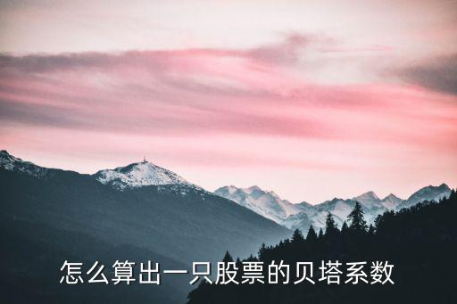 怎么算出一只股票的貝塔系數(shù)