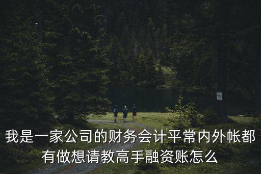 融資會(huì)計(jì)怎么做，我是一家公司的財(cái)務(wù)會(huì)計(jì)平常內(nèi)外帳都有做想請(qǐng)教高手融資賬怎么