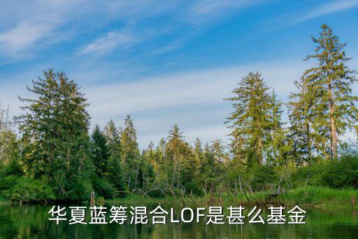 華夏藍籌混合lof怎么樣，華夏藍籌混合LOF是甚么基金