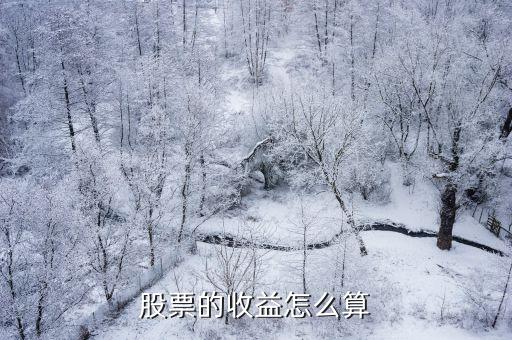 股票的收益率怎么算，股票的收益率計算