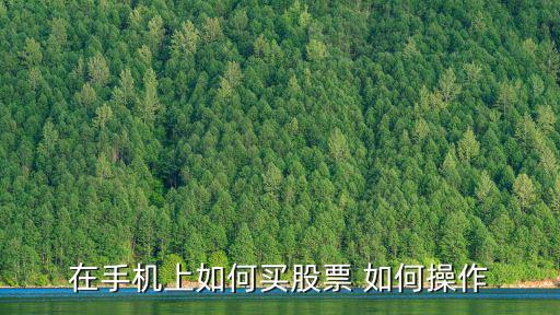 手機(jī)怎么買股票，在手機(jī)上如何買股票 如何操作