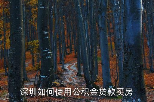 深圳公積金怎么用，深圳市住房公積金怎樣提取和使用