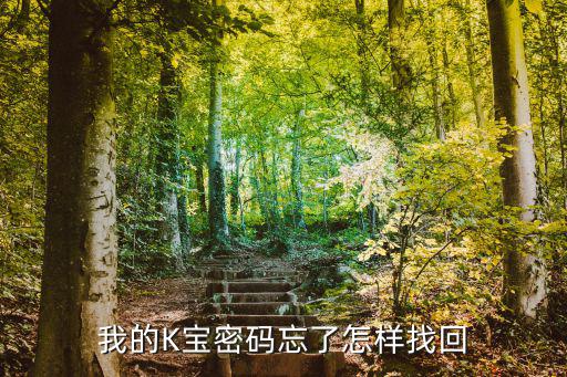 k寶密碼忘了怎么找回，我的K寶密碼忘了怎樣找回