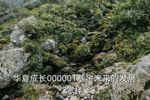 華夏成長000001基金未來的發(fā)展怎樣