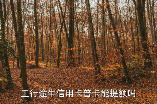工行途牛信用卡普卡能提額嗎