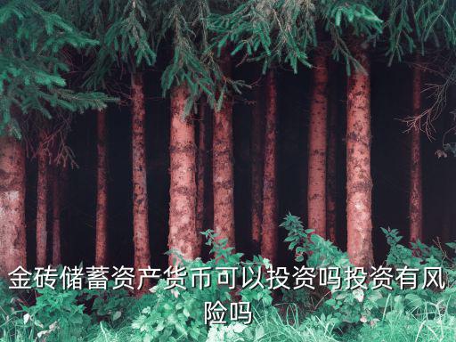 金磚儲(chǔ)蓄資產(chǎn)貨幣可以投資嗎投資有風(fēng)險(xiǎn)嗎