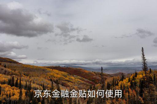 京東金融怎么玩，京東金融金貼如何使用