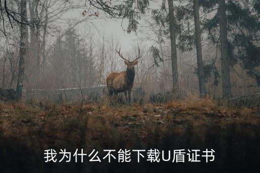 我為什么不能下載U盾證書
