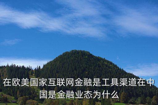 在歐美國(guó)家互聯(lián)網(wǎng)金融是工具渠道在中國(guó)是金融業(yè)態(tài)為什么