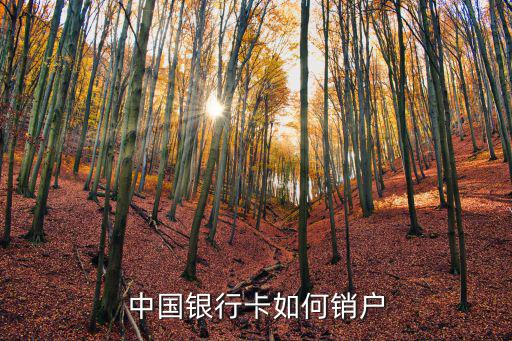 中國(guó)銀行卡如何銷戶