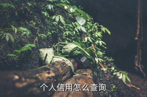 個人信用怎么查詢