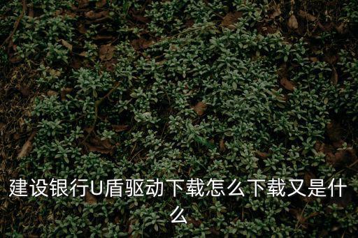建設(shè)銀行U盾驅(qū)動下載怎么下載又是什么