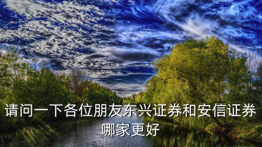 請(qǐng)問一下各位朋友東興證券和安信證券哪家更好