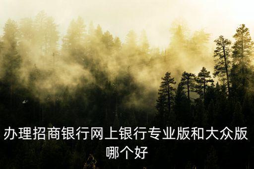 招商銀行卡怎么申請(qǐng)專業(yè)版，招商銀行的網(wǎng)上專業(yè)銀行怎么開啊