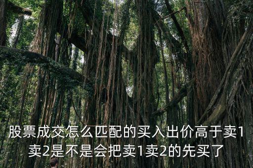 股票買入后怎么比，股票成交怎么匹配的買入出價(jià)高于賣1賣2是不是會(huì)把賣1賣2的先買了