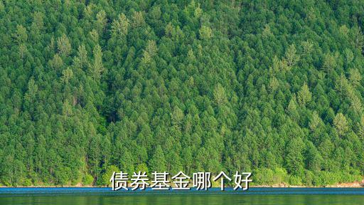 華商阿爾法怎么樣，華商動態(tài)阿爾法 怎么樣