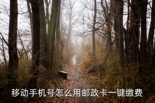 郵政惠民服務(wù)交費軟件怎么辦理啊，郵政卡怎么在網(wǎng)上繳費