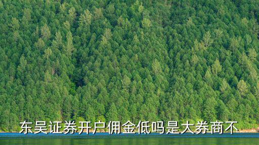 東吳證券開戶怎么樣，各位覺得東吳證券怎么樣給個(gè)全面的評(píng)價(jià)