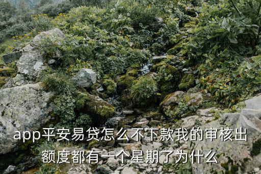 平安i貸怎么沒有額度，平安普惠i貸怎么老提現(xiàn)不出