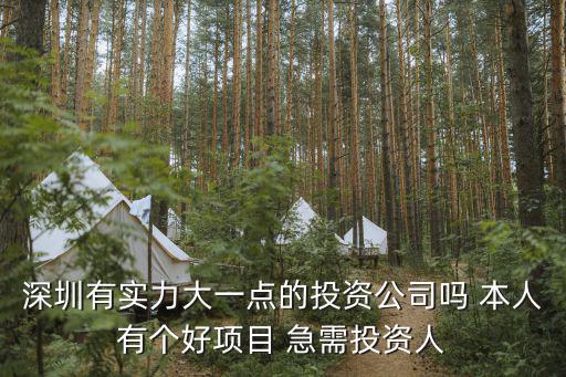 深圳有實(shí)力大一點(diǎn)的投資公司嗎 本人有個(gè)好項(xiàng)目 急需投資人