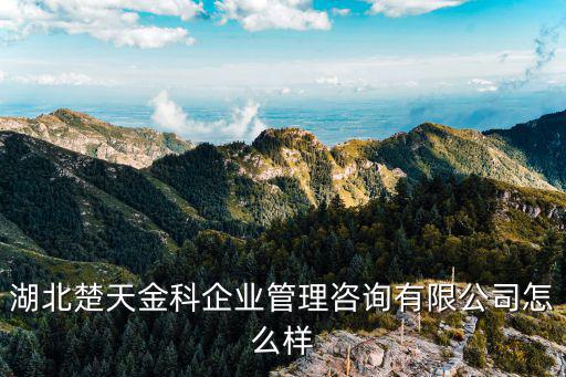 湖北中金高科怎么樣，高科A8怎么樣用過的親給個建議啊