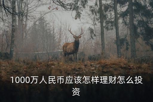 1000萬人民幣應該怎樣理財怎么投資