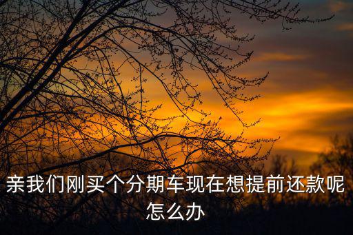 買車提前還款怎么辦理，我的車貸款提前還款請(qǐng)問還要辦什么手續(xù)