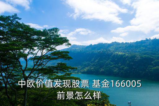 中歐價值發(fā)現(xiàn)股票 基金166005前景怎么樣
