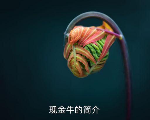 招商現(xiàn)金牛怎么樣，招商銀行信用卡怎么樣